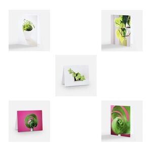 🌱 set of five cards